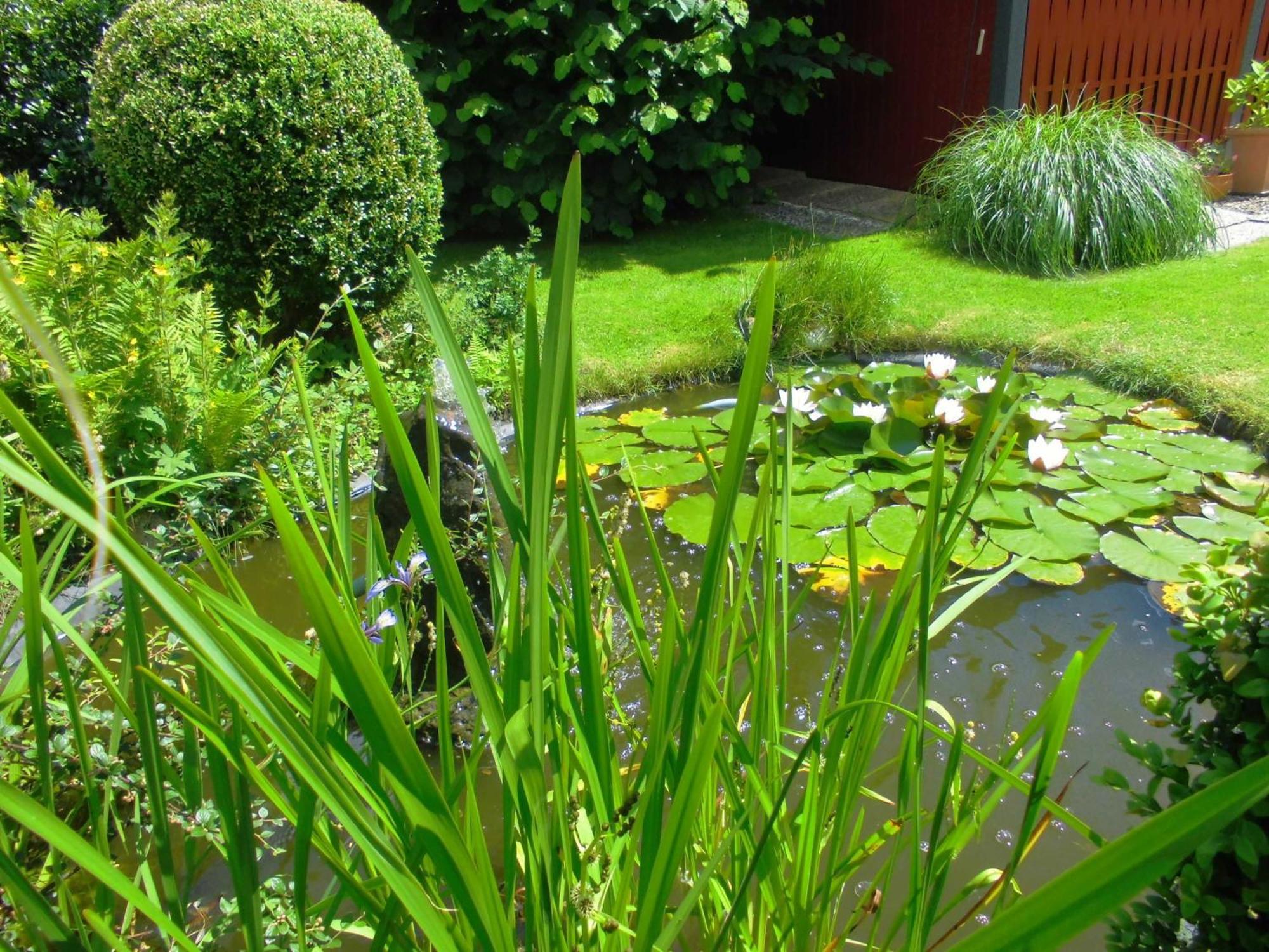 Ferienwohnung Und Einzelzimmer Schnoor In คัพเพล์น ภายนอก รูปภาพ