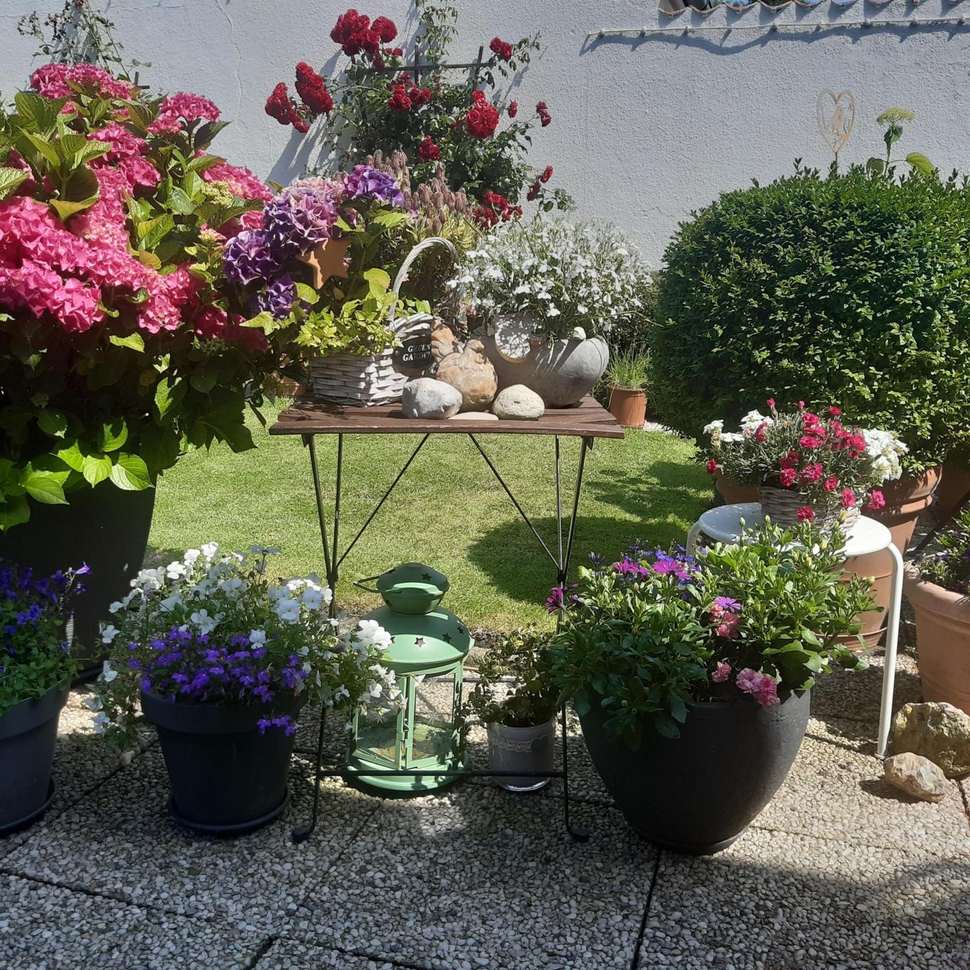 Ferienwohnung Und Einzelzimmer Schnoor In คัพเพล์น ภายนอก รูปภาพ